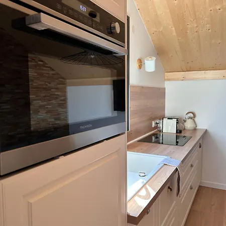 Апартаменты Le Meleze, Chaleureux 4pers Pres De Geneve & Annecy *