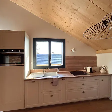 Le Meleze, Chaleureux 4pers Pres De Geneve & Annecy Апартаменты Saint-Germain-sur-Rhone