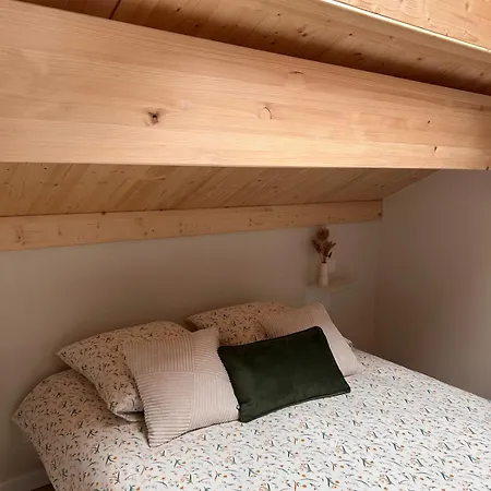 Апартаменты Le Meleze, Chaleureux 4pers Pres De Geneve & Annecy *